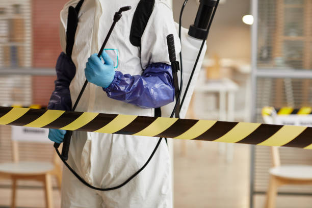 Professional Sewage Cleanup technician working in Buena, NJ